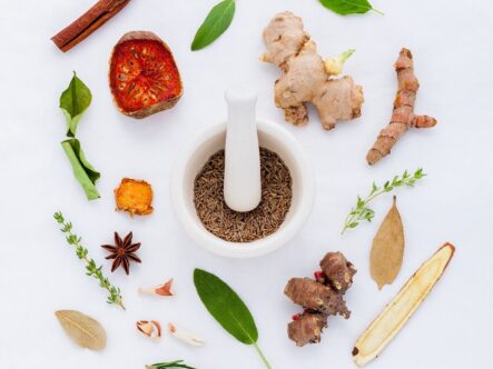 herbs, natural, pharmaceutical-906140.jpg